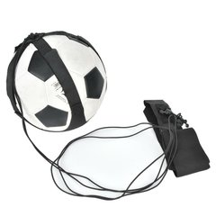 Тренажер футбольный для отработки ударов и передач Мастер футбола (уценка)
