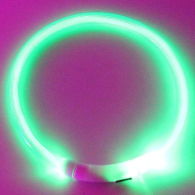 Світлодіодний LED нашийник для собак Supretto із зарядкою USB, зелений (94160003)