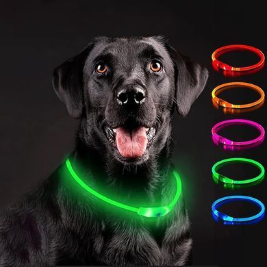 Світлодіодний LED нашийник для собак Supretto із зарядкою USB, зелений (94160003)
