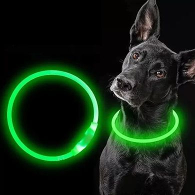 Світлодіодний LED нашийник для собак Supretto із зарядкою USB, зелений (94160003)