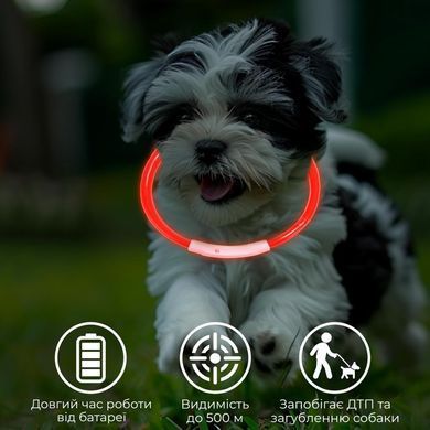 Світлодіодний LED нашийник для собак Supretto із зарядкою USB, зелений (94160003)