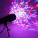 Світлодіодний кольоровий проектор-ліхтарик Supretto зі штативом (5241) фото 1 из 6