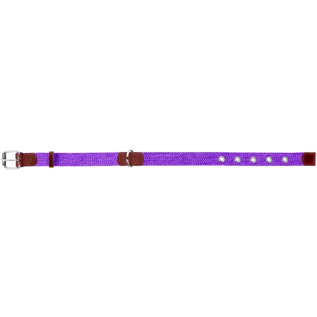 Брезентовий нашийник для собак Collar х/б тасьма 51-63 см 35 мм Фіолетовий (02639)