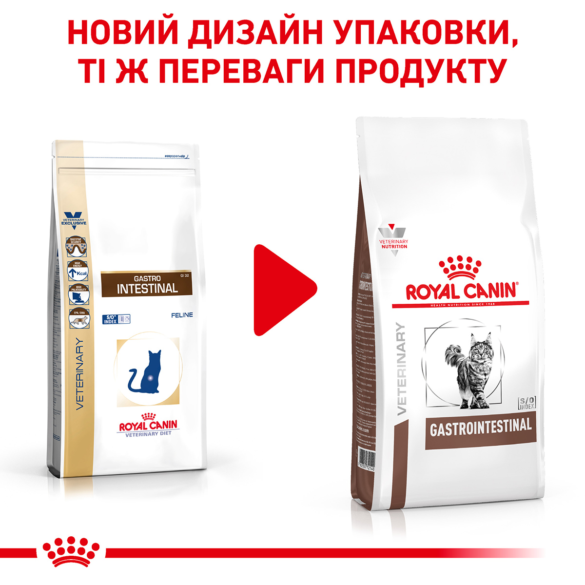 Royal canin gastrointestinal для кошек 2 кг. Роял Канин гастро Интестинал для кошек сухой.